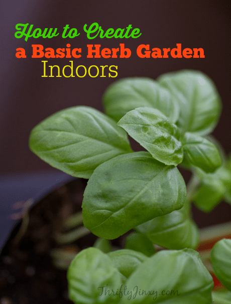 How to Create a Basic Herb Garden Indoors
