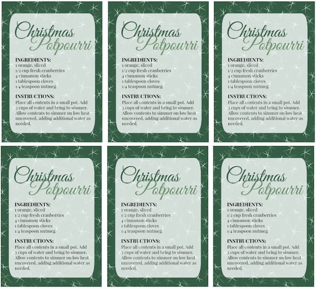 DIY Christmas Potpourri with Printable Gift Labels Thrifty Jinxy