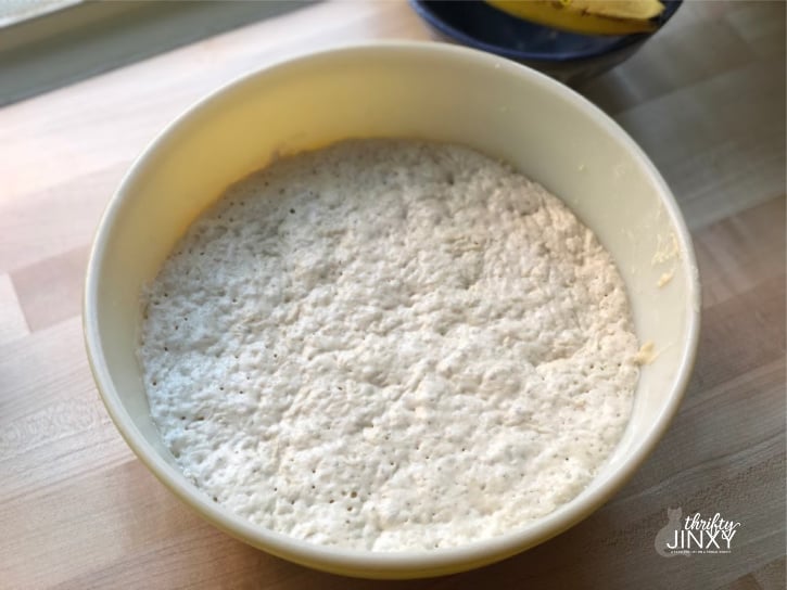 No Knead Bread Dough After Rising