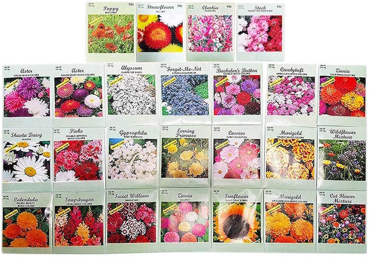 Cheap Flower Seed Packets