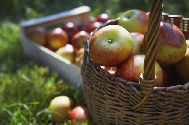 fresh apples in a basket