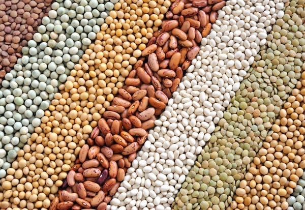 multiple varieties of beans