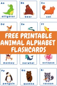Free Alphabet Flash Cards - Download and Print - Thrifty Jinxy