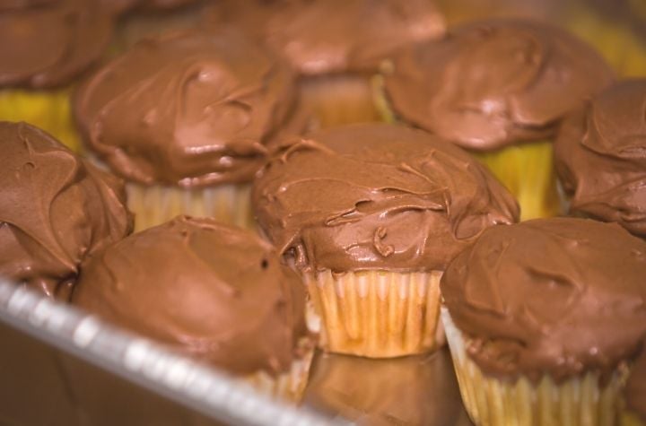 cupcakes with chocolate buttercream frosting