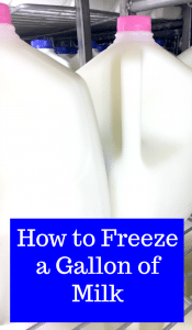 How to Freeze a Gallon of Milk - Thrifty Jinxy