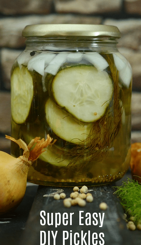 Make Super Easy DIY Pickles using your last empty charge of pickles - save the juice!