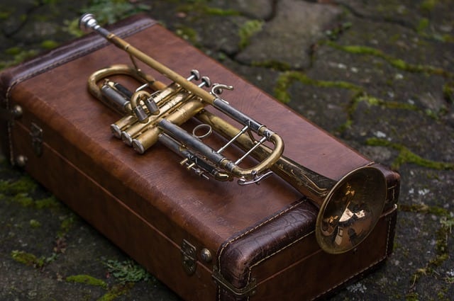 trumpet lying on trumpet case