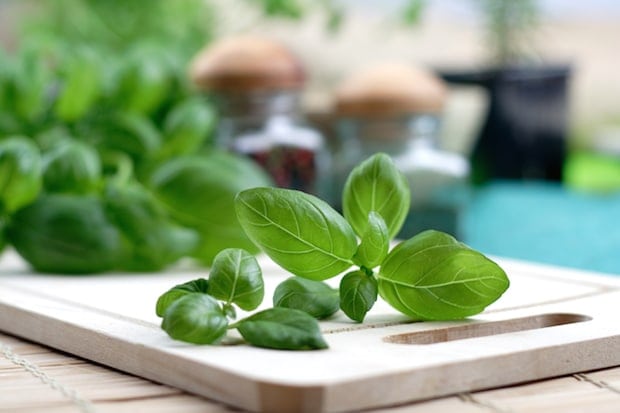 sprigs of fresh basil on wooden cutting board.