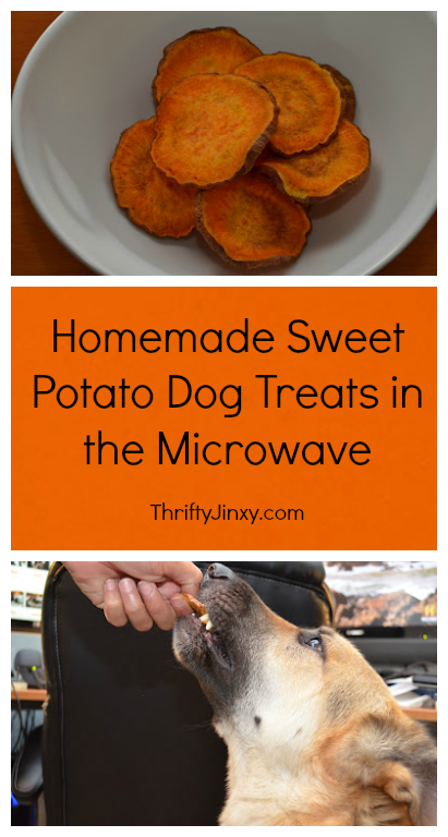 Make Your Own Homemade Sweet Potato Dog Treats in the Microwave Recipe ...