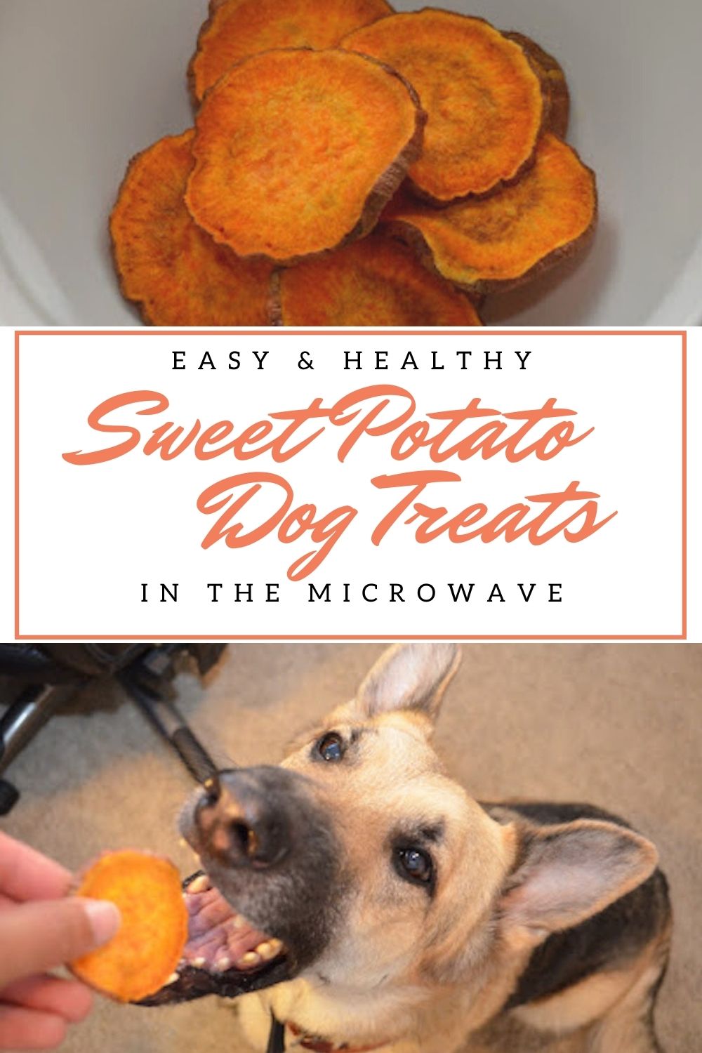 Make Your Own Homemade Sweet Potato Dog Treats in the Microwave Recipe