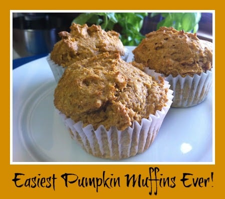 pumpkin muffins