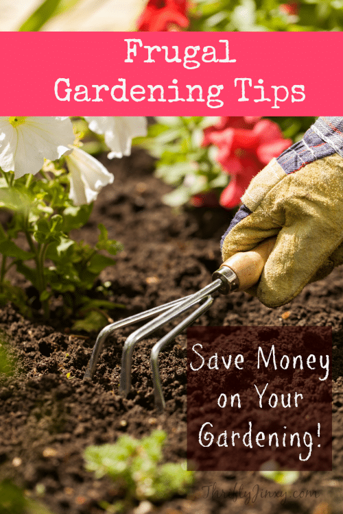 These frugal gardening tips will help you save money on your gardening, making it easier to grow vegetables and flowers on a budget!