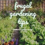 frugal gardening tips