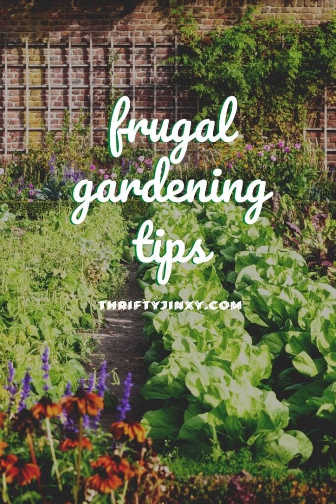 frugal gardening tips