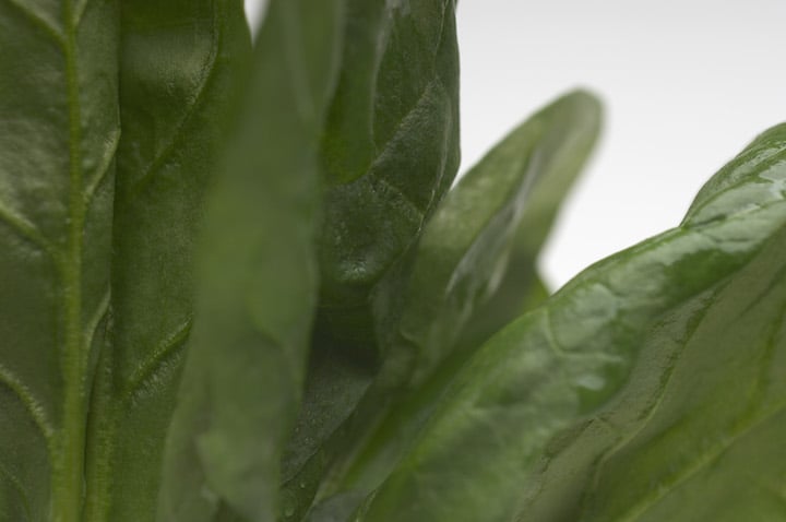 Spinach leaves, close-up