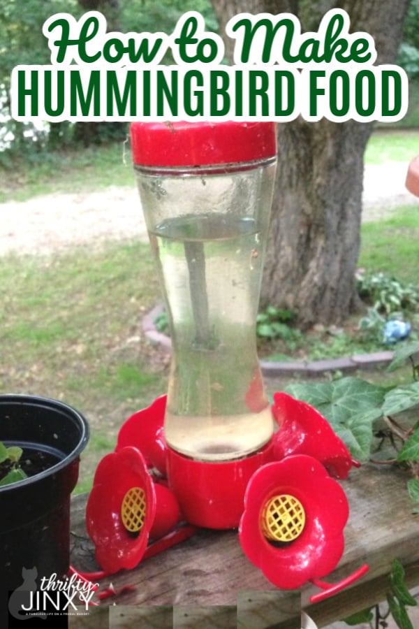 How to Make Hummingbird Food (1)