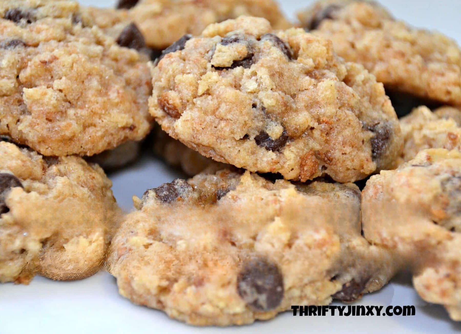Bread Crumb Cookies with Chocolate Chips