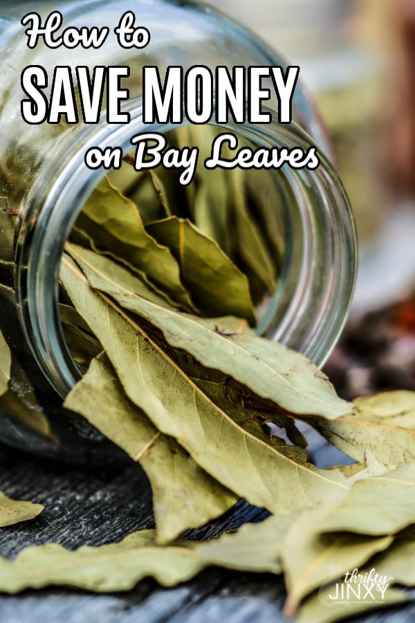 Save Money on Bay Leaves