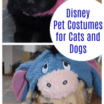 Disney Pet Costumes for Cats and Dogs