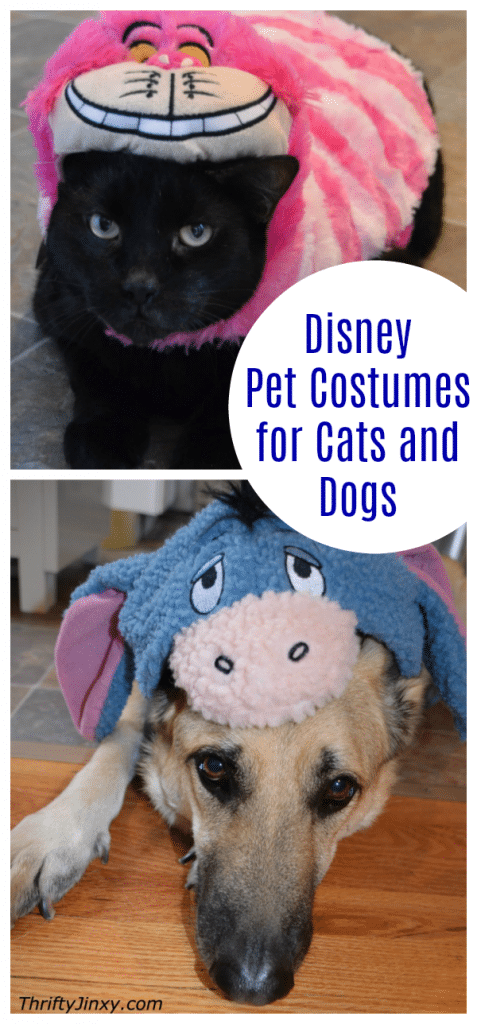 Disney Pet Costumes for Cats and Dogs