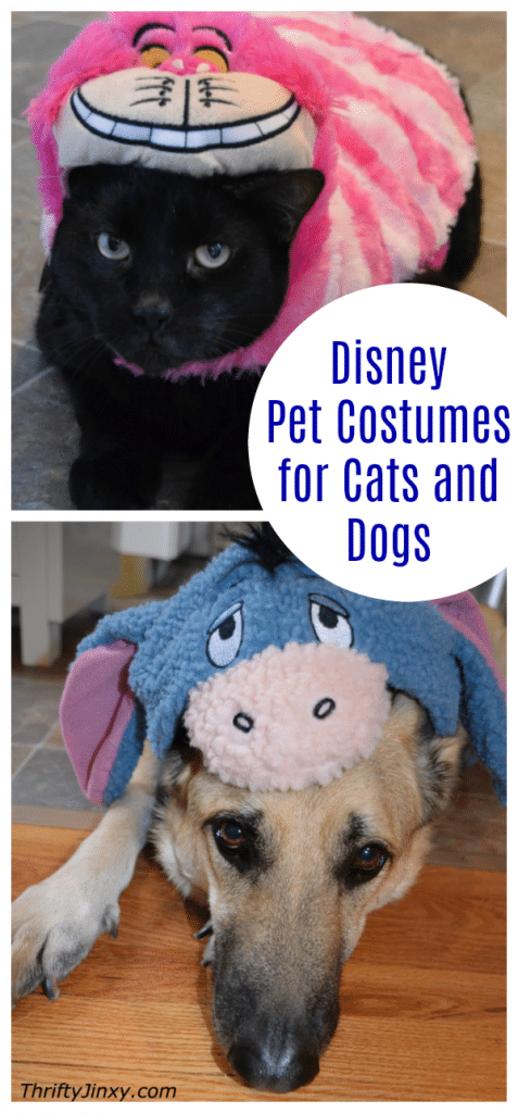 Snow White Disney Princess Dog & Cat Pet Costume