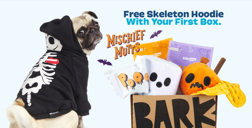 Halloween BarkBox