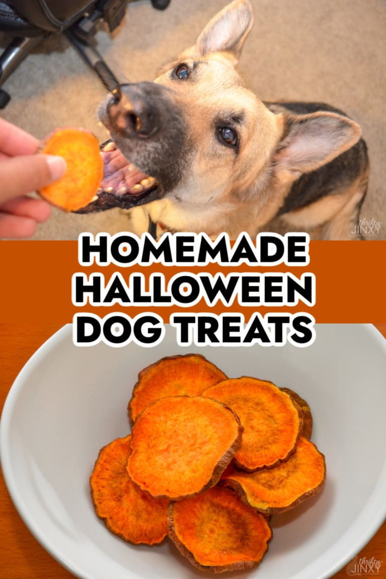Homemade Halloween Dog Treats Recipe Thrifty Jinxy