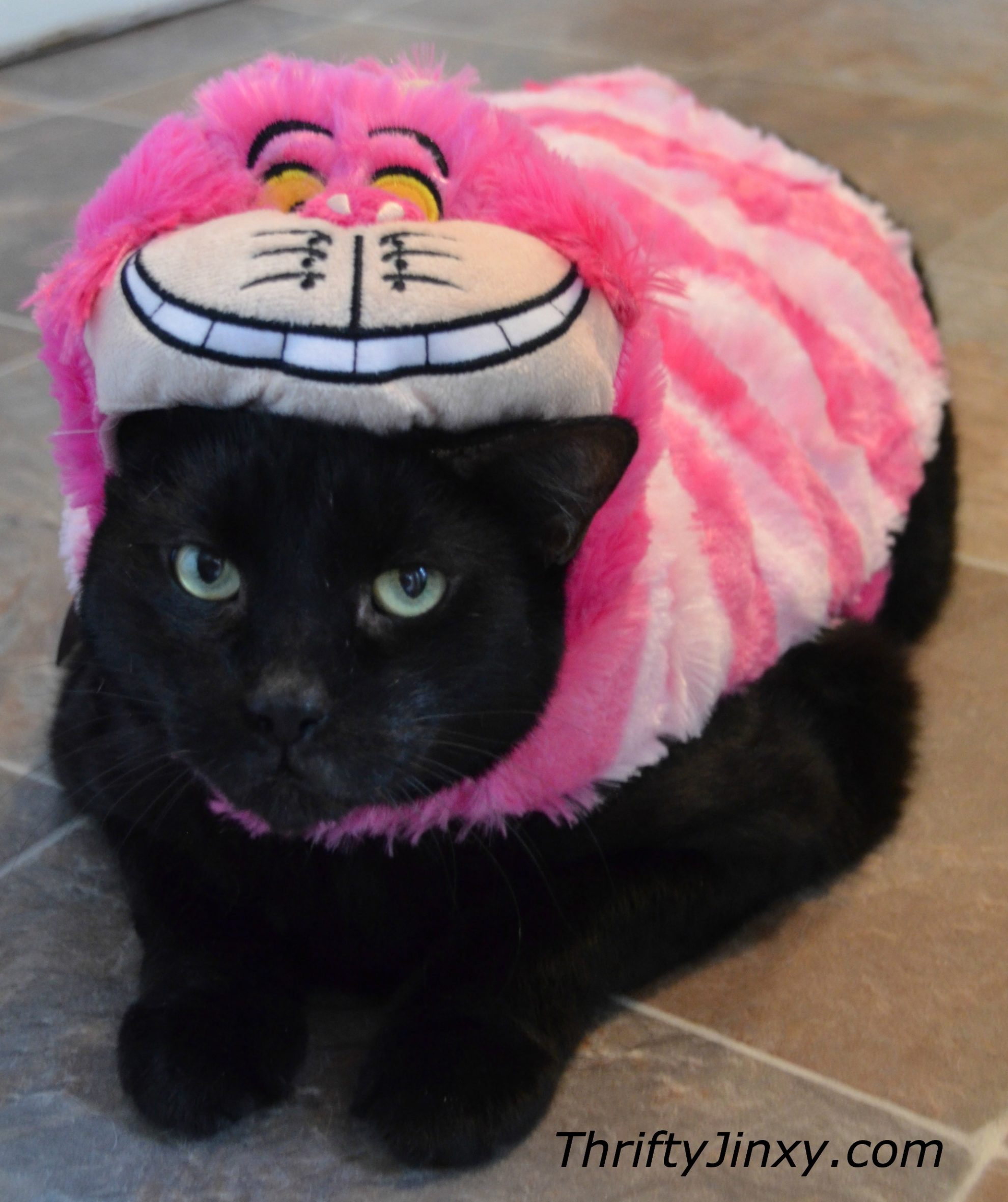 Disney Pet Cheshire Cat Costume
