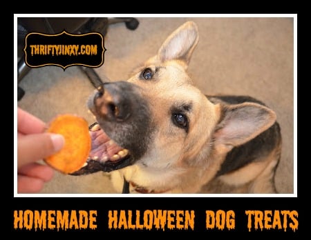 homemade-halloween-dog-treats-2