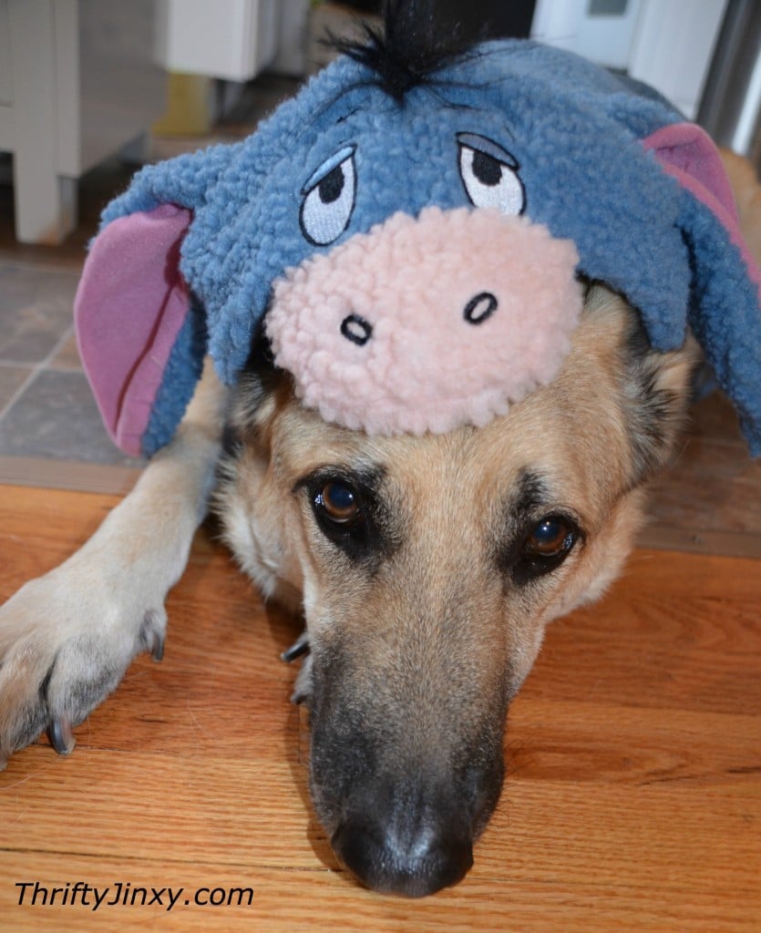 Eeyore Disney Dog Costume