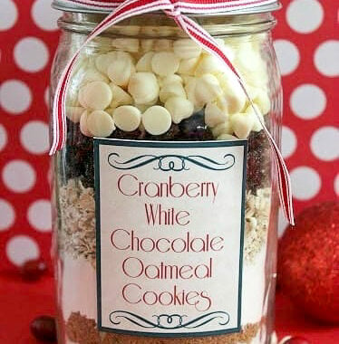 Cranberry White Chocolate Oatmeal Cookie in a Jar