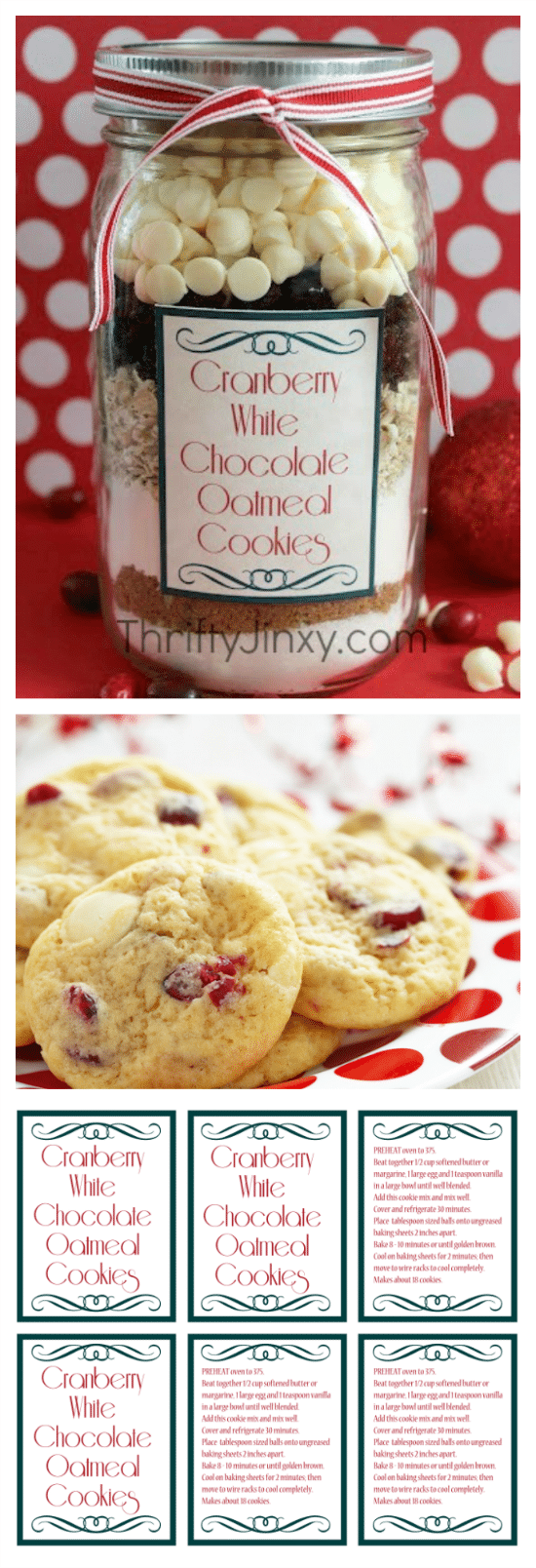 Cranberry White Chocolate Oatmeal Cookie in a Jar Recipe with FREE Printable Labels - A fun gift idea!