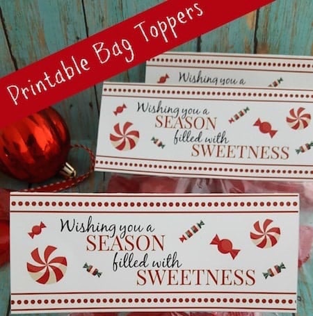 Printable-Christmas-Treat-Bag-Toppers