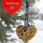 These Valentine Bird Feeder Hearts are an easy DIY way to share the holiday with your feathered friends! They are a perfect craft or Valentine's day or to treat the birds any time of year.