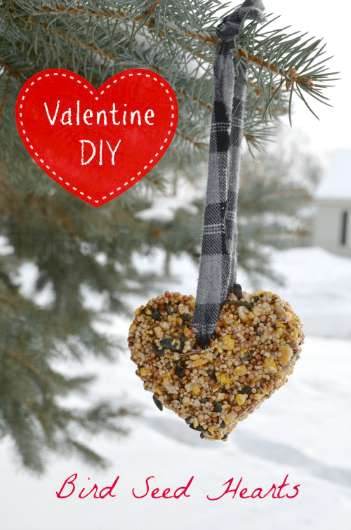 Valentine Bird Feeder Hearts DIY Craft