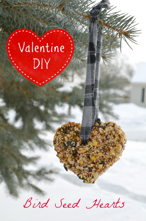 These Valentine Bird Feeder Hearts are an easy DIY way to share the holiday with your feathered friends! They are a perfect craft or Valentine's day or to treat the birds any time of year.