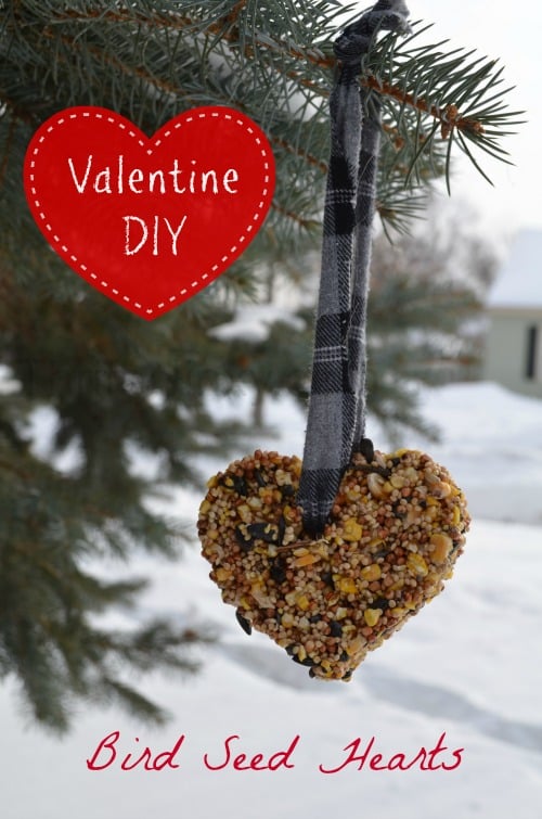 Valentine Bird Feeder Hearts DIY