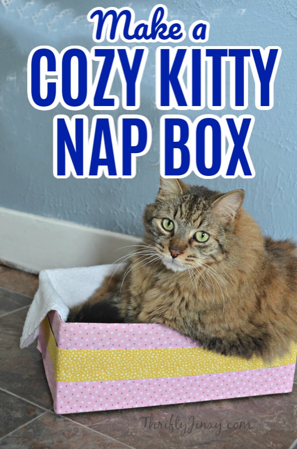 cozy kitty nap box