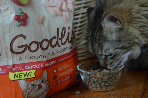 GOODLIFE Cat Food Peanut #goodlifepet #shop