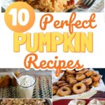 10 PUMPKIN Recipes