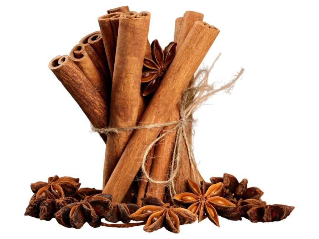 anise and cinnamon sticks