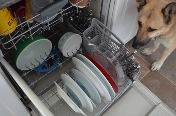 Dishwasher #CleanForTheHolidays