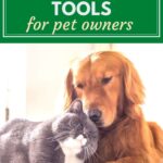 Cleaning Tools for Pet Owners