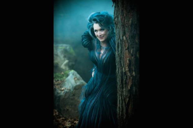 Meryl Streep Into the Woods Blue Costume