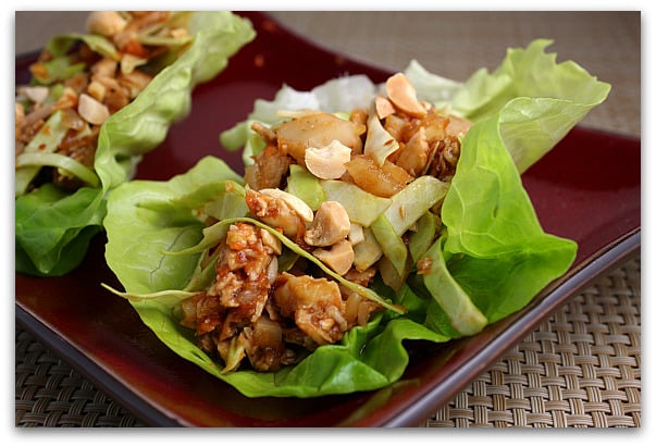 Weight Watchers Asian Lettuce-Wraps-81