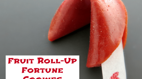 Fruit Roll-Up Fortune Cookies