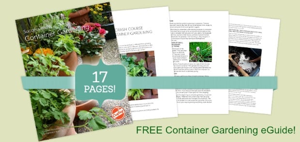 SuccessWithContainerGardening_carousel_1