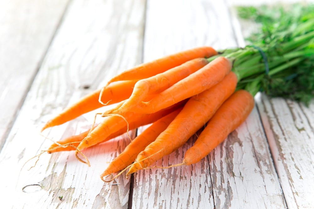 Carrots Stock Photo