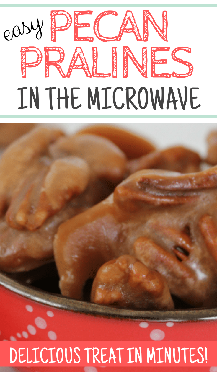 Easy Microwave Pralines Recipe Thrifty Jinxy