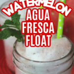 Watermelon Agua Fresca Float